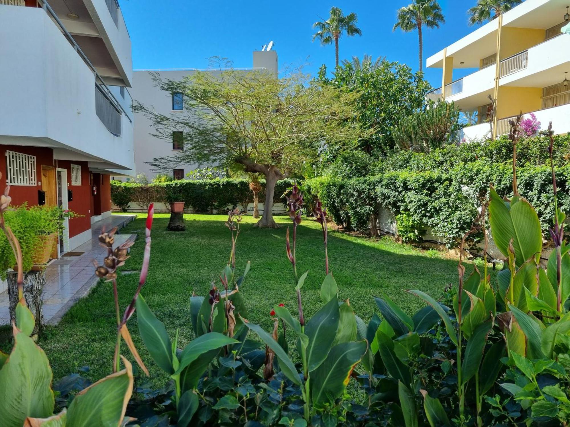 Apartment With Sea View Close To Dunes Of Playa Del Ingles San Bartolomé Zewnętrze zdjęcie